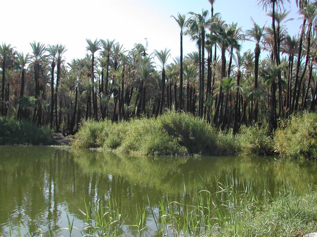 Islands and Protected Areas of the Gulf of California (Mexico) LAC Geo